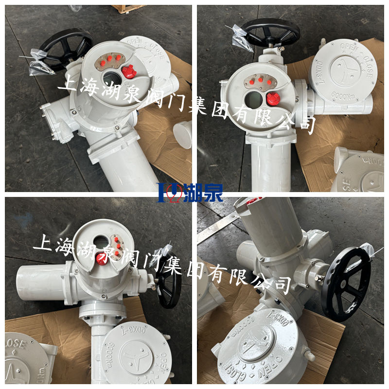 閥門電動(dòng)裝置